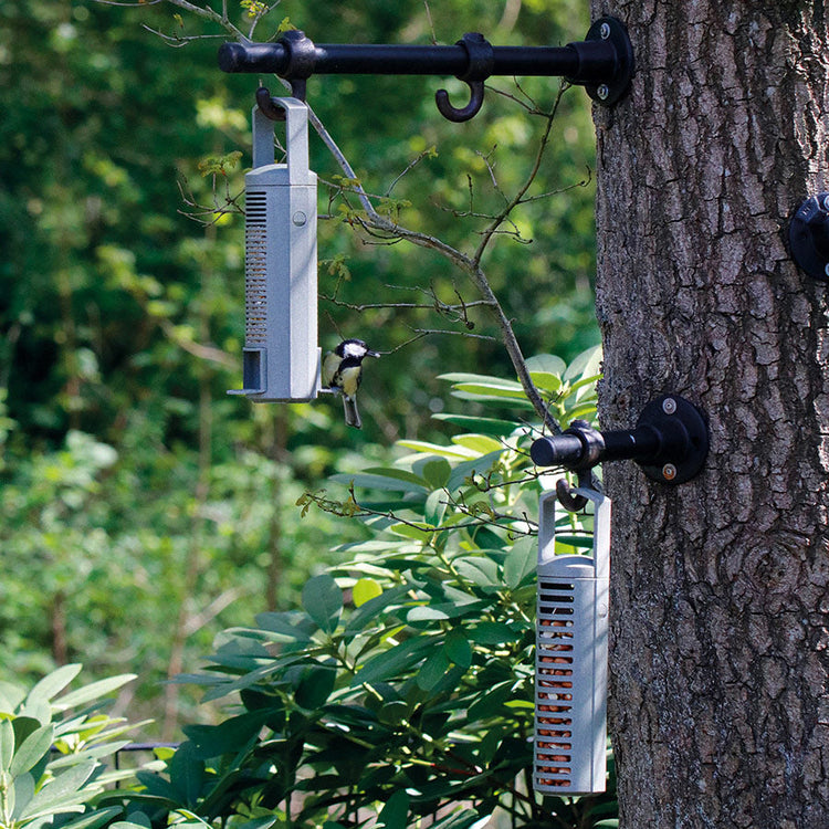 Rosewood Wild Bird Fat Ball Feeder – Metal Hanging Garden Feeder